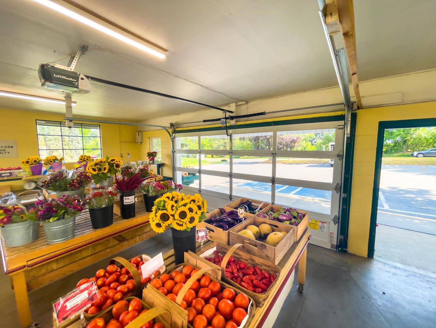 Commercial door with windows for a produce stand